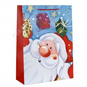 Пакет бумажный (h42х31см, дно12см) 