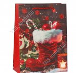 Пакет бумажный (h24х18см, дно8,5см) 