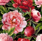 Клеенка глянец 