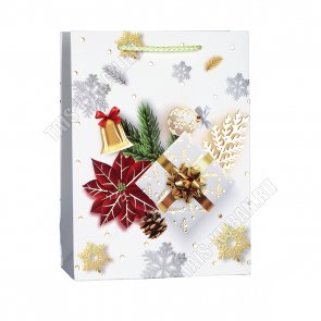 Пакет бумажный (h24х18см, дно8,5см) 