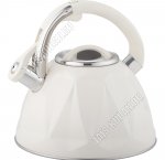 Чайник нерж 3,0л сливочн.глянец (6)