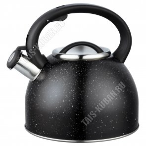 Чайник нерж 3,0л 