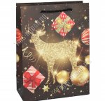 Пакет бумажный (h32х26см, дно10см) 