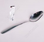 CLASSIC Ложка чайная 6шт (100)