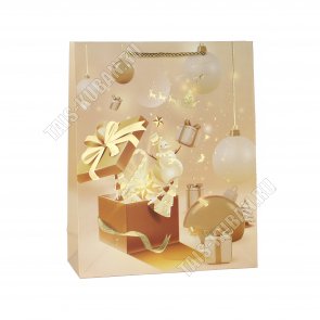 Пакет бумажный (h32х26см, дно10см) 