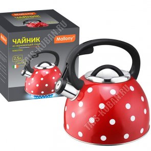 Чайник нерж 2,5л 