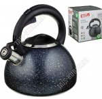 Чайник нерж 2,5л