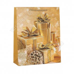 Пакет бумажный (h40х31см, дно12см) 