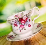 Чай-12пр Lenardi 260мл 