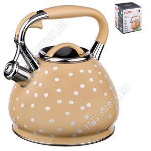 Чайник нерж 3,0л 