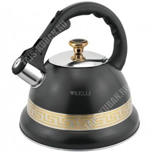 Чайник нерж 3,5л 