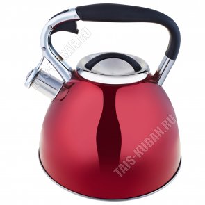Чайник нерж 3,0л красный глянец (12) 