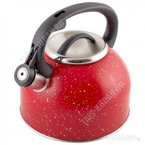 Чайник нерж 2,5л 
