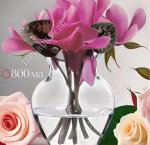 Ваза для цветов FLORA h15см 0,8л (ф.кувшин) б/уп (6)