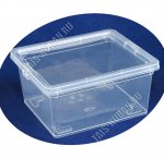 Контейнер д/хранен 2л прозр крыш-фиксатор 2защ, прям (19х16 h9см) (10) 