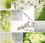 Клеенка (плотн.345гр/м2) 