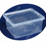 Контейнер д/хранен 5,5л прозр крыш-фиксатор 2 защ, прям (34х19 h12см) (8) 