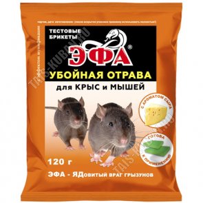 XXL Кашпо 