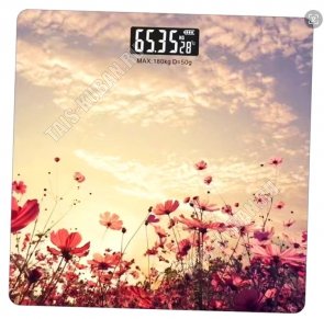 Весы напольн. эл. до 180кг дел.50гр 