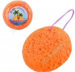 Губка-мочалка, кругл d12 h5см 