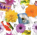 Клеенка (плотн.345гр/м2) 