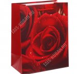 Пакет бумажный (h23х18см, дно10см) 