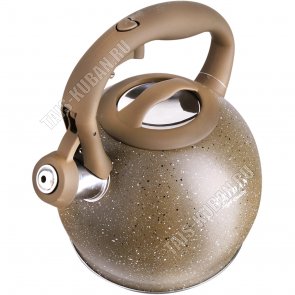 Чайник нерж 3,5л 